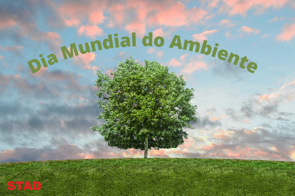 dia mundial do ambiente